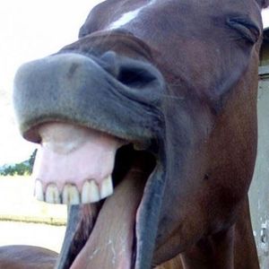 Meet your Posher, Paul